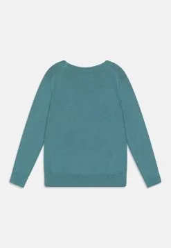 Hackett London HACKETT CREW - Striktrøjer