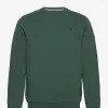 Hackett London HACKETT LDN LOGO CRW - SAGE -Hackett London Butik hachm580957 csage